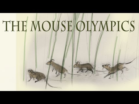 Mouse Olympics Chapter 1