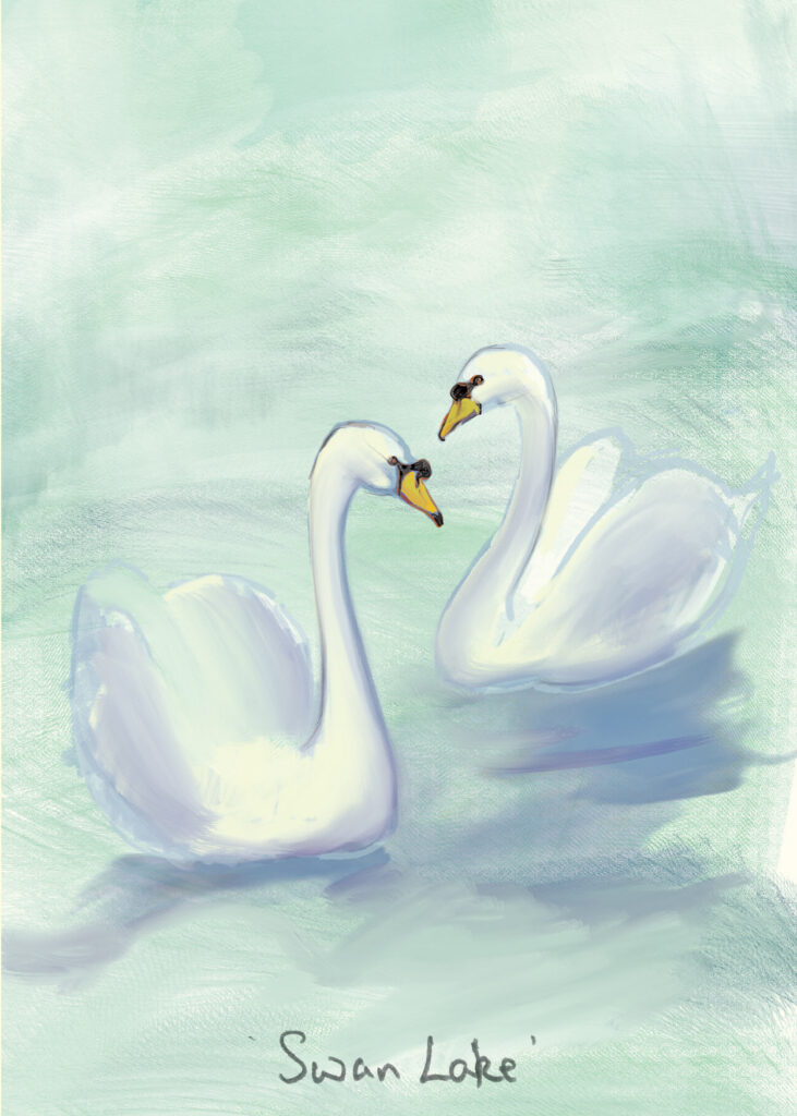 Swan Lake - Mute Swans - A Painting and greeting Card by Julian Williams