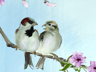 House Sparrows - Painting and Greeting card by Julian Williams