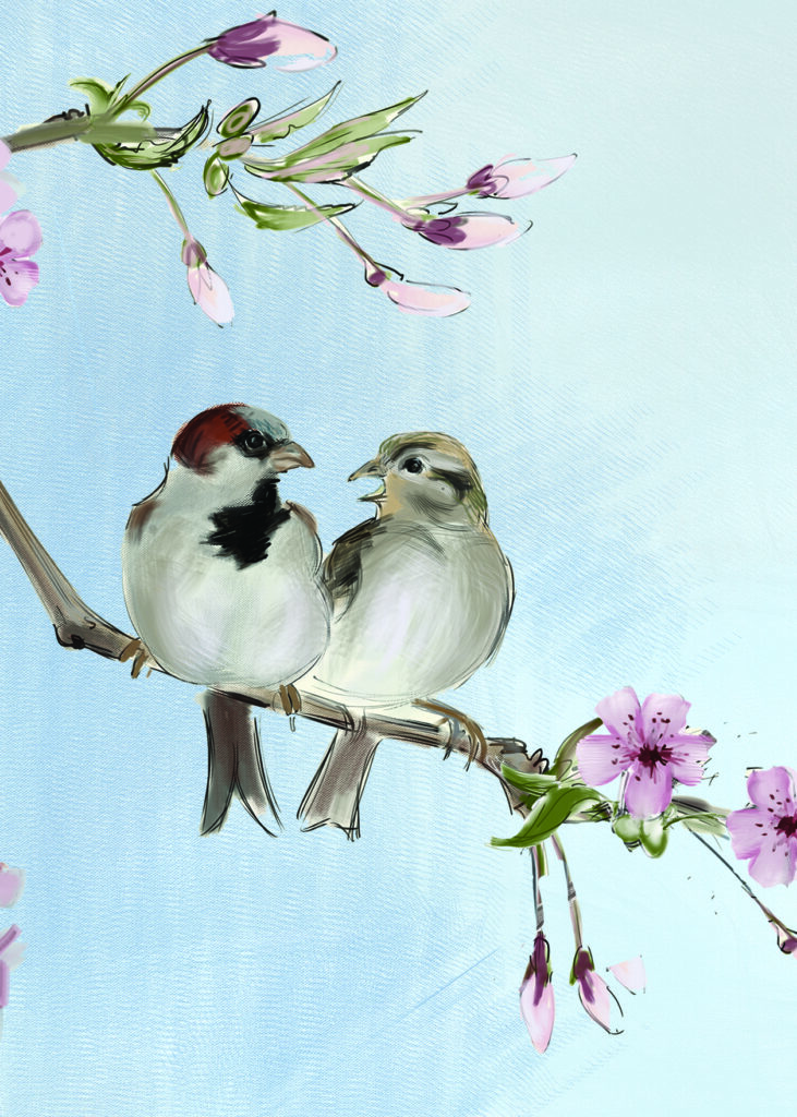 House Sparrows - Painting and Greeting card by Julian Williams